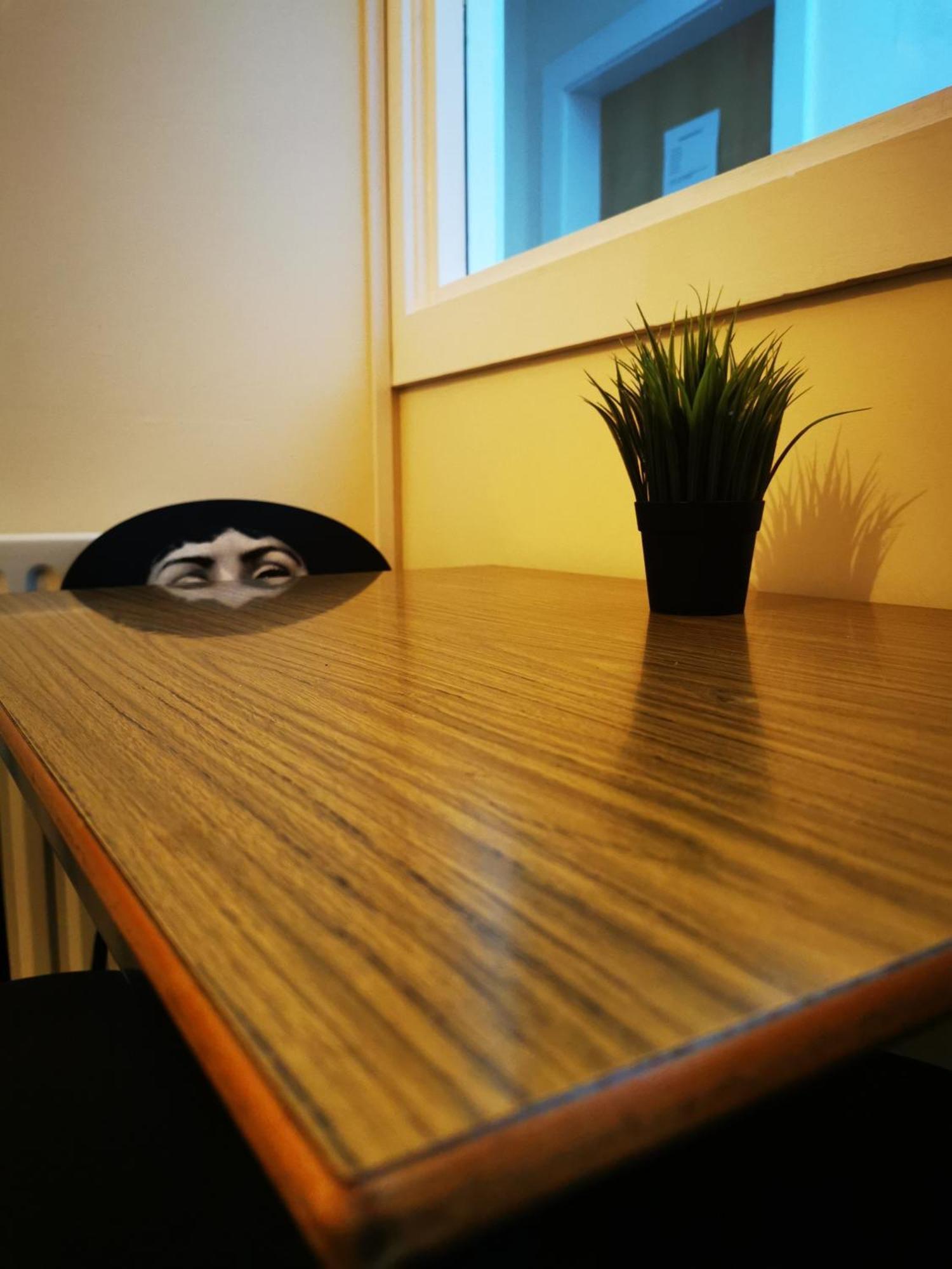 Botanic Avenue Hostel Less Than A Mile From The City Centre Belfast Dış mekan fotoğraf