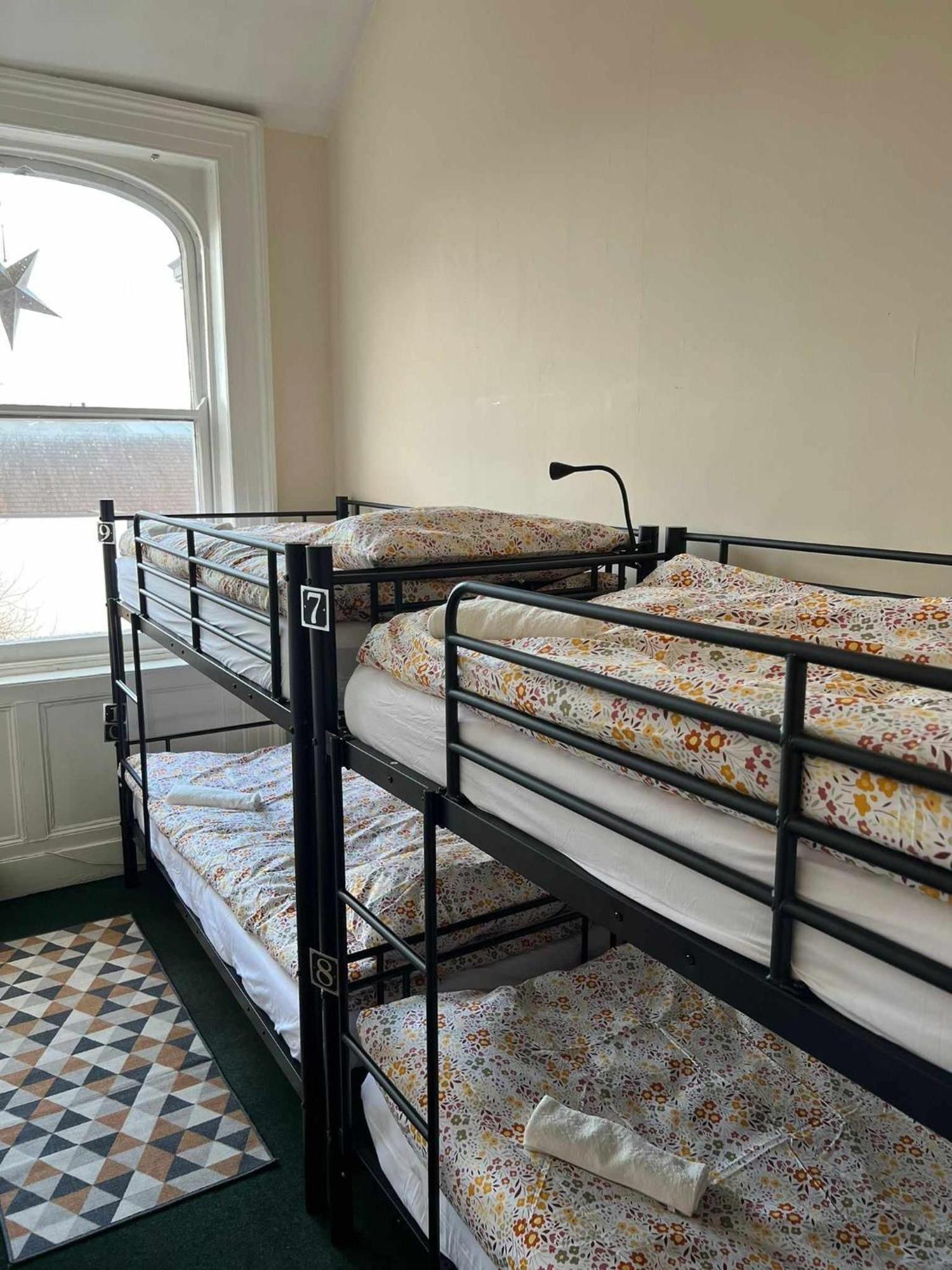 Botanic Avenue Hostel Less Than A Mile From The City Centre Belfast Dış mekan fotoğraf