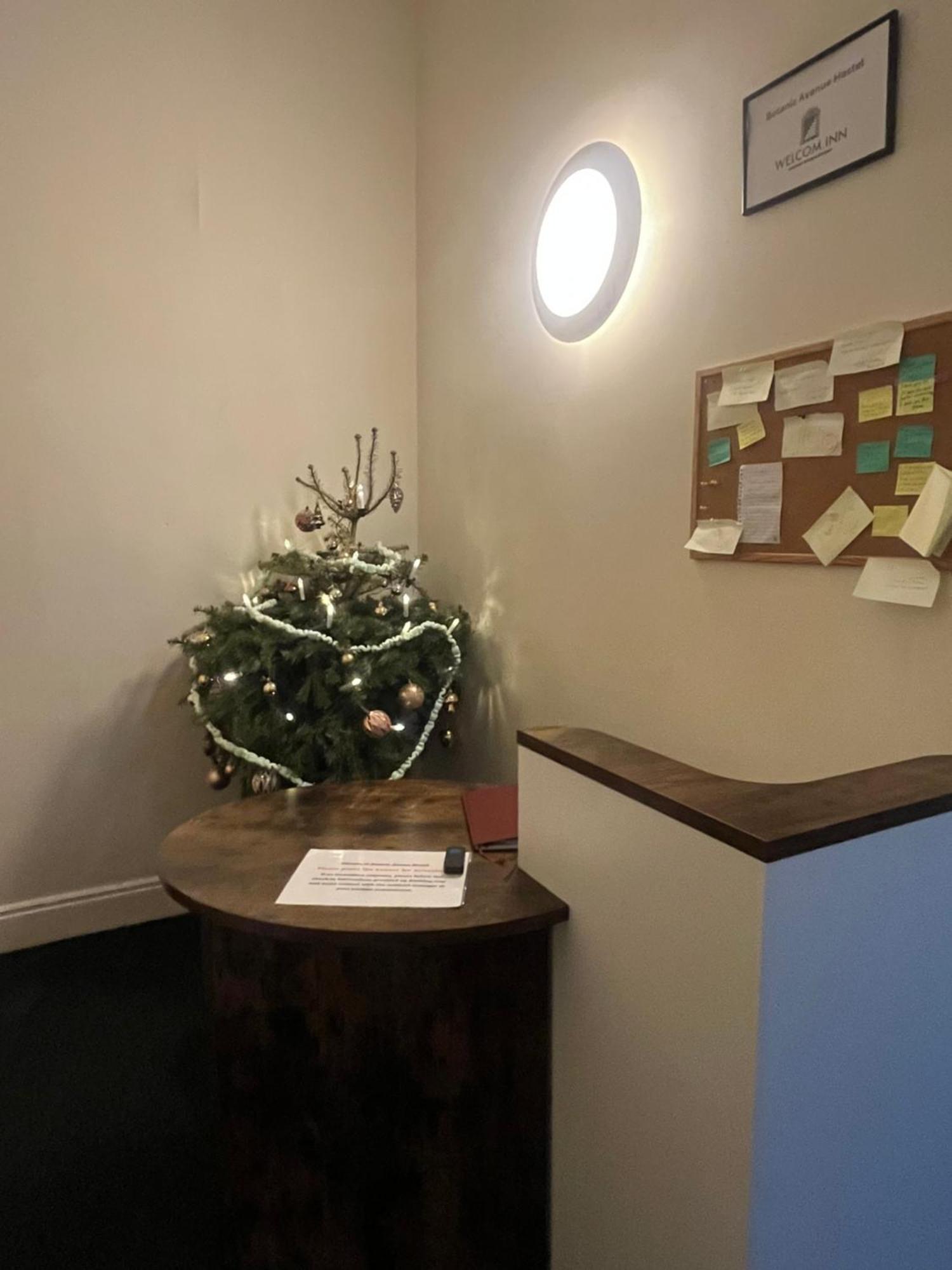 Botanic Avenue Hostel Less Than A Mile From The City Centre Belfast Dış mekan fotoğraf